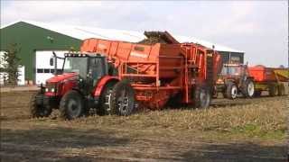 Potato Harvest 2012  Massey Ferguson 5455  Grimme DR1500 [upl. by Ecirpac691]