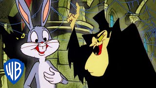 Looney Tunes  Bugs Bunny Meets Count Blood Count  WB Kids [upl. by Esereht]