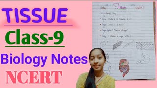 NCERT biology class 9 ch 2 tissues noteshandwrittenpdf in description of table [upl. by Nnahteb]