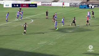 NPL NSW Mens Round 3 – Sydney Olympic v APIA Leichhardt FC [upl. by Debee]