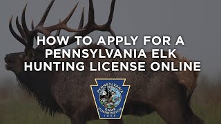 How To Apply For A Pennsylvania Elk Hunting License Online [upl. by Aizitel547]