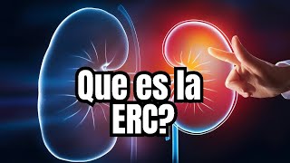 Descubre la Enfermedad Renal Crónica Causas y Riesgos Ocultos [upl. by Connel612]