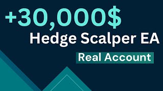 Ever Heard of 1000 Growth  Hedge Scalper EA Made from 3000 to 30000 on Real Account [upl. by Salokkin558]