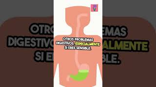 ¡ Café y salud intestinal  Lo que debes saber  shorts viralreels salud nutricion comida [upl. by Jacquie91]