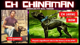 Garners CH quotChinamanquot ROM 4XW GAMEDOG 💯 CHINAMAN PIT BULL apbthistory [upl. by Devad]