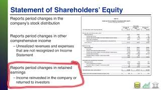 The Annual Report Financial Statements [upl. by Agate]