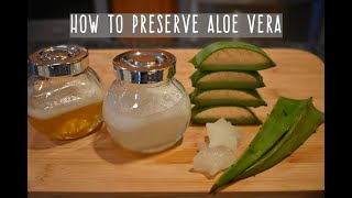 How To Preserve Aloe Vera  Aloe Vera Gel Storage [upl. by Tolecnal]