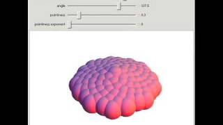 Phyllotaxis Spirals in 3D [upl. by Nadaba]