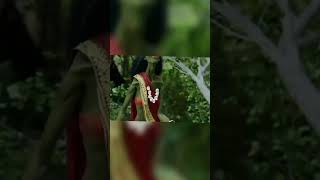 Apsara Aali🤣🤣🤣🤣🤣shortvideo youtubeshorts funny trendingshorts reels [upl. by Alle]