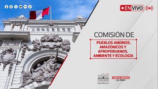 EN VIVO Audiencia pública descentralizada de la Comisión de Pueblos Andinos  14112024 [upl. by Robinia307]