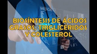 BIOSINTESIS DE LIPIDOS Ácidos grasos Triacilglicéridos y Colesterol [upl. by Niassuh]