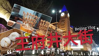 【Vlog】北京Beijing EP13 王府井大街 狗不理包子 王府井小吃街 [upl. by Anderea]