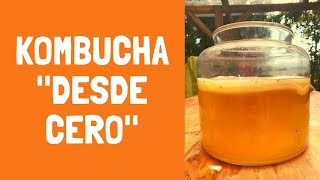 KOMBUCHA DESDE CERO  la guía completa [upl. by Jeavons894]