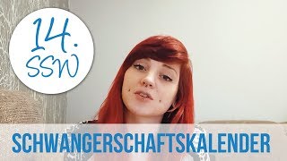 14 SSW Schwangerschaftstagebuch von Angelika  Ultraschallbilder [upl. by Cherin123]