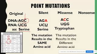 Substitution amp Frameshift Mutations AP Biology Topic 67 [upl. by Aitat]