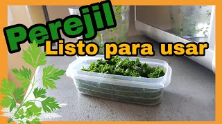 🌿 Cómo CONSERVAR PEREJIL PICADO fresco o congelado [upl. by Jandy]