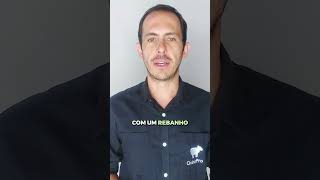 Como alimentar cordeiros em situação critica  VEJA O VIDEO RELACIONADO [upl. by Hans]