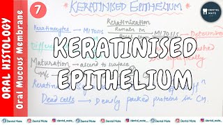 Keratinised Epithelium  Keratinization process  Maturation of keratinocytes  OMM  Dr Paridhi [upl. by Mays]