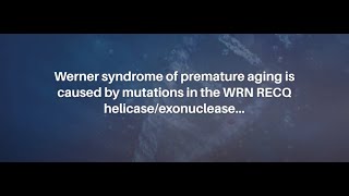 Werner Syndrome RECQ Helicase and Heterochromatin Maintenance in Human Cells  AgingUS [upl. by Aikemahs]