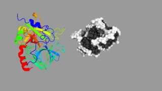 Simulation of the aptamerthrombin binding [upl. by Adnawed197]