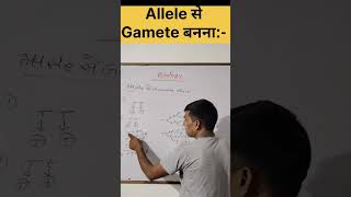 Allele से Gamete बनना varl sorts NCERT physics Our study room Udayrajsir17 [upl. by Ylurt]