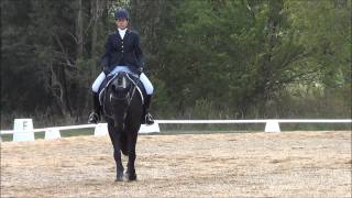 Prelim 11 dressage [upl. by Kwan]