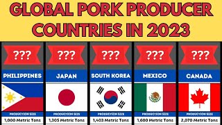 Pork Production Global Pork Producer Countries 2023 Pork Producer Countries [upl. by Ayotal648]