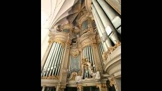 Marienkirche Rostock Bach Toccata dmoll BWV 5651 [upl. by Yentrok822]