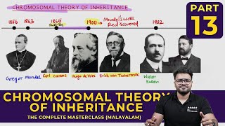 Mastering CHROMOSOMAL THEORY OF INHERITANCE  Principles of Inheritance and Variations  CLASS 13 [upl. by Quenby]