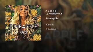 Karol G  Pineapple  A Capella Studio [upl. by Campball49]