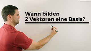 Wann bilden 2 Vektoren eine Basis Mathe by Daniel Jung Erklärvideo [upl. by Akvir226]