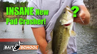 NEW Frog Bait for Bass BOOYAH Disco Ball Pad Crasher  Bait School [upl. by Ytirahc]