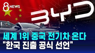 세계 1위 중국 전기차 온다…BYD quot한국 진출 공식 선언quot  SBS 8뉴스 [upl. by Innad]