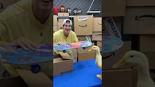 Le Compre 100 Productos De Amazon A Mis Patos😱😂 [upl. by Grewitz]