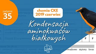 KONDENSACJA AMINOKWASĂ“W BIAĹKOWYCH  Matura Chemia CKE 2019 Czerwiec  Zadanie 35 [upl. by Obe]