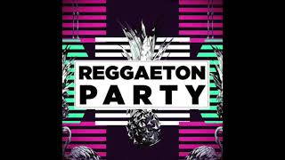 Mix Reggaeton Moombahton 2021 VOL 2 [upl. by Iredale]