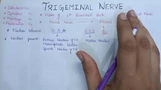 Trigeminal nerve anatomy  Part 1 [upl. by Aridatha]