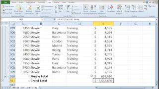 Multiple Level SubTotal in Excel [upl. by Nelleh]