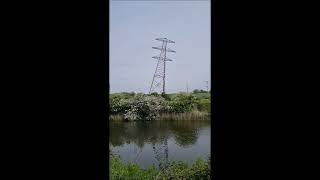 Old pylons toppled in Burnham area as new Hinkley Point Tpylons installed [upl. by Servetnick417]