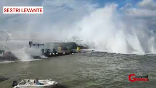 La mareggiata colpisce il Levante a Camogli la violenza delle onde fa crollare un ristorante [upl. by Enined903]