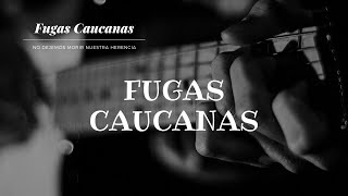 Recopilación ►►► Fugas Caucanas [upl. by Ib173]