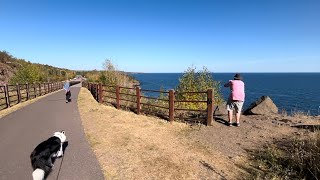 Silver Creek Cliff Trail Tunnel and Overlook on North Shore of Superior Lake [upl. by Ahsimak884]