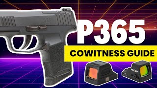 Sig P365 Red Dot Guide Which Holosun Optics CoWitness Best [upl. by Ailicec]