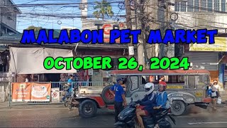 Pet update tayo sa Malabon Pet Market [upl. by Harley]