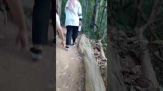 part 4 haiking gunung lambak kluang [upl. by Richella]