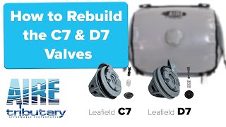 How to Rebuild a C7 amp D7 Valve [upl. by Elleina725]