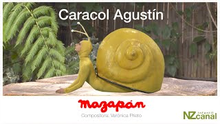 Caracol Agustin  Mazapán  Lengua de Señas Chilena [upl. by Akinahc]