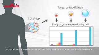 CELLNETTA Application Example Preprocessing for Singlecell Analysis [upl. by Naruq]