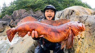 GREATEST CATCH AND COOK OF ALL TIME  Alaska Coastal Foraging Red Lingcod and Hot Springs [upl. by Illene457]