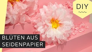 DIY Blüten aus Seidenpapier basteln  Roombeez – powered by OTTO [upl. by Cynthea]